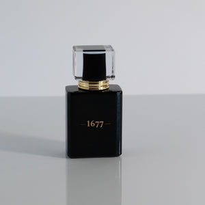 Gentlemen 1677 Cologne