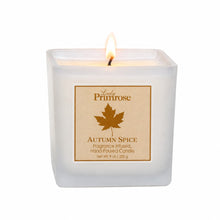 Load image into Gallery viewer, Holiday Autumn Spice Seasonal Candle *The Fall Candle is back!
